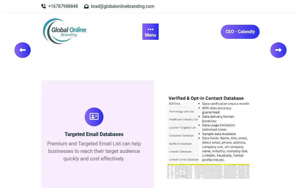 Screenshot of globalonlinebranding.info