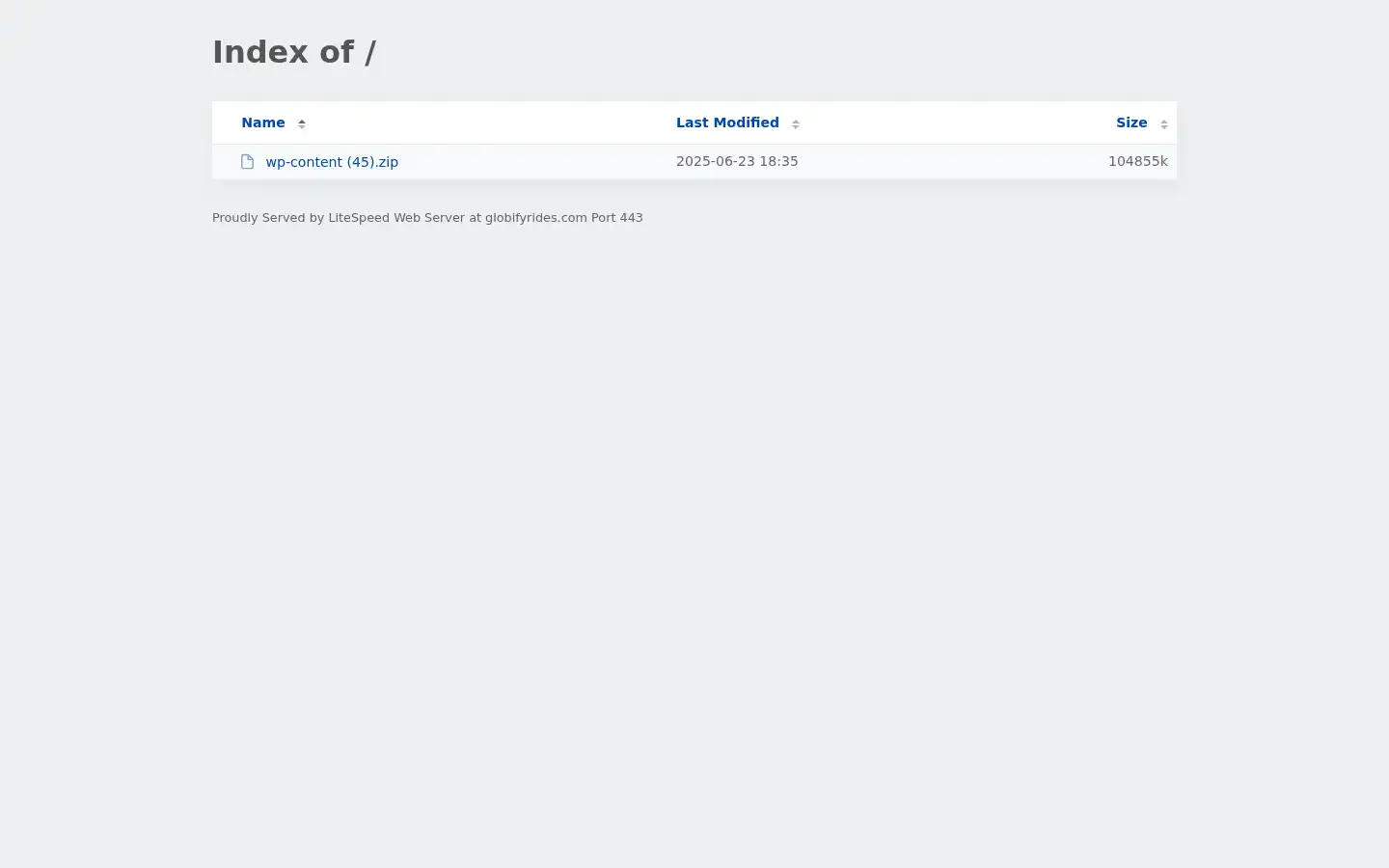 Screenshot of globifyrides.com