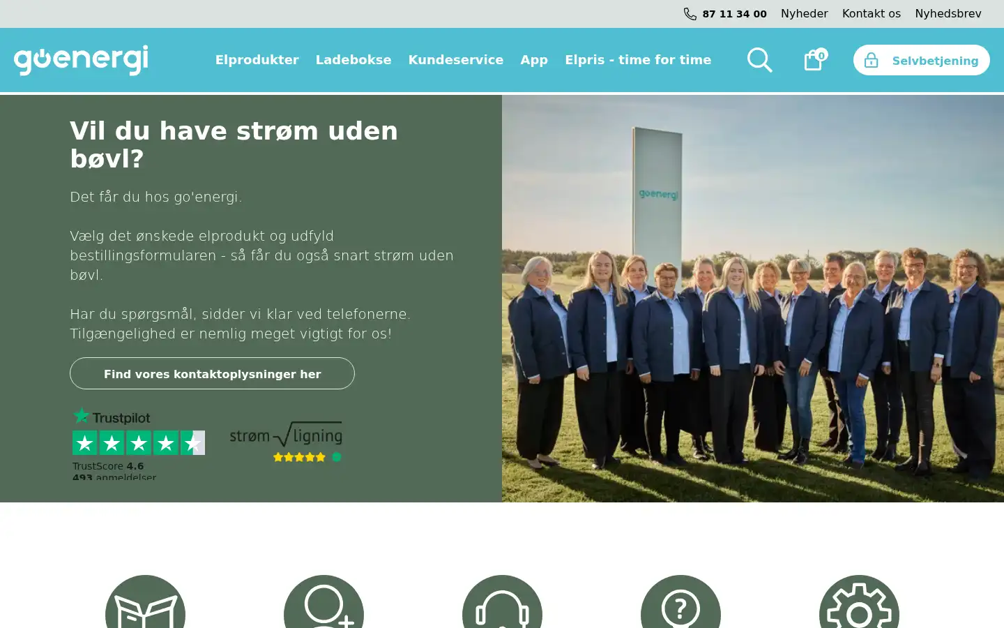 Screenshot of go-energi.dk