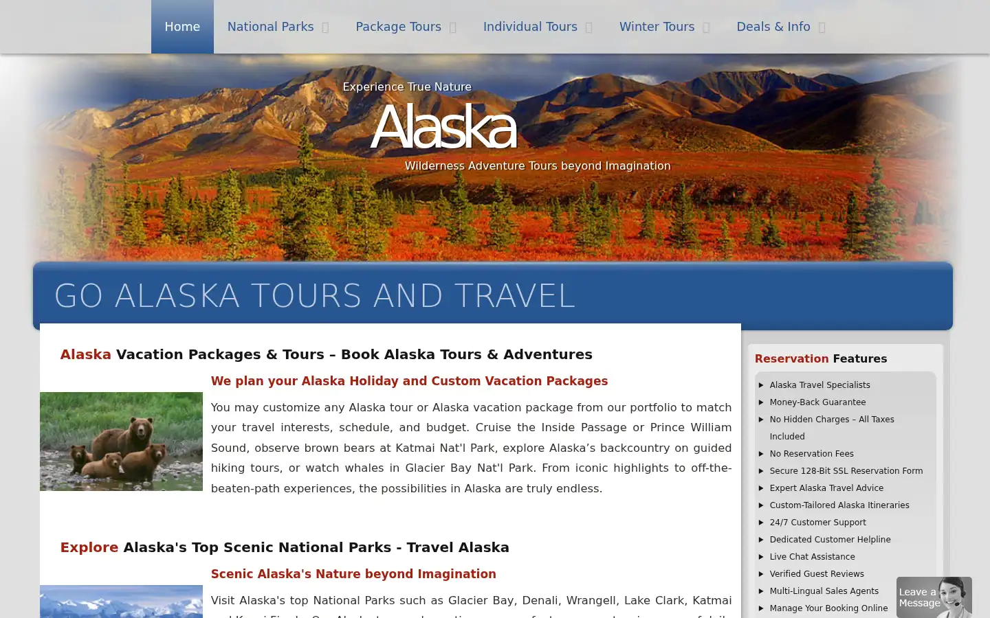 Screenshot of goalaskatours.com