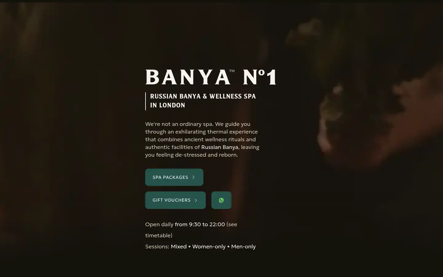 Screenshot of gobanya.co.uk