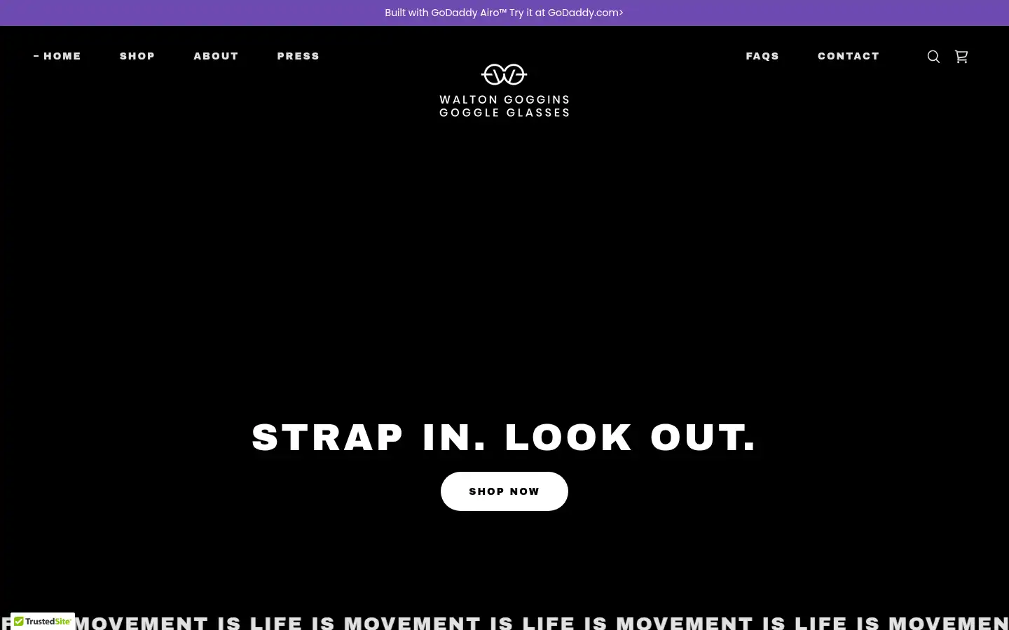 Screenshot of gogginsgoggles.com