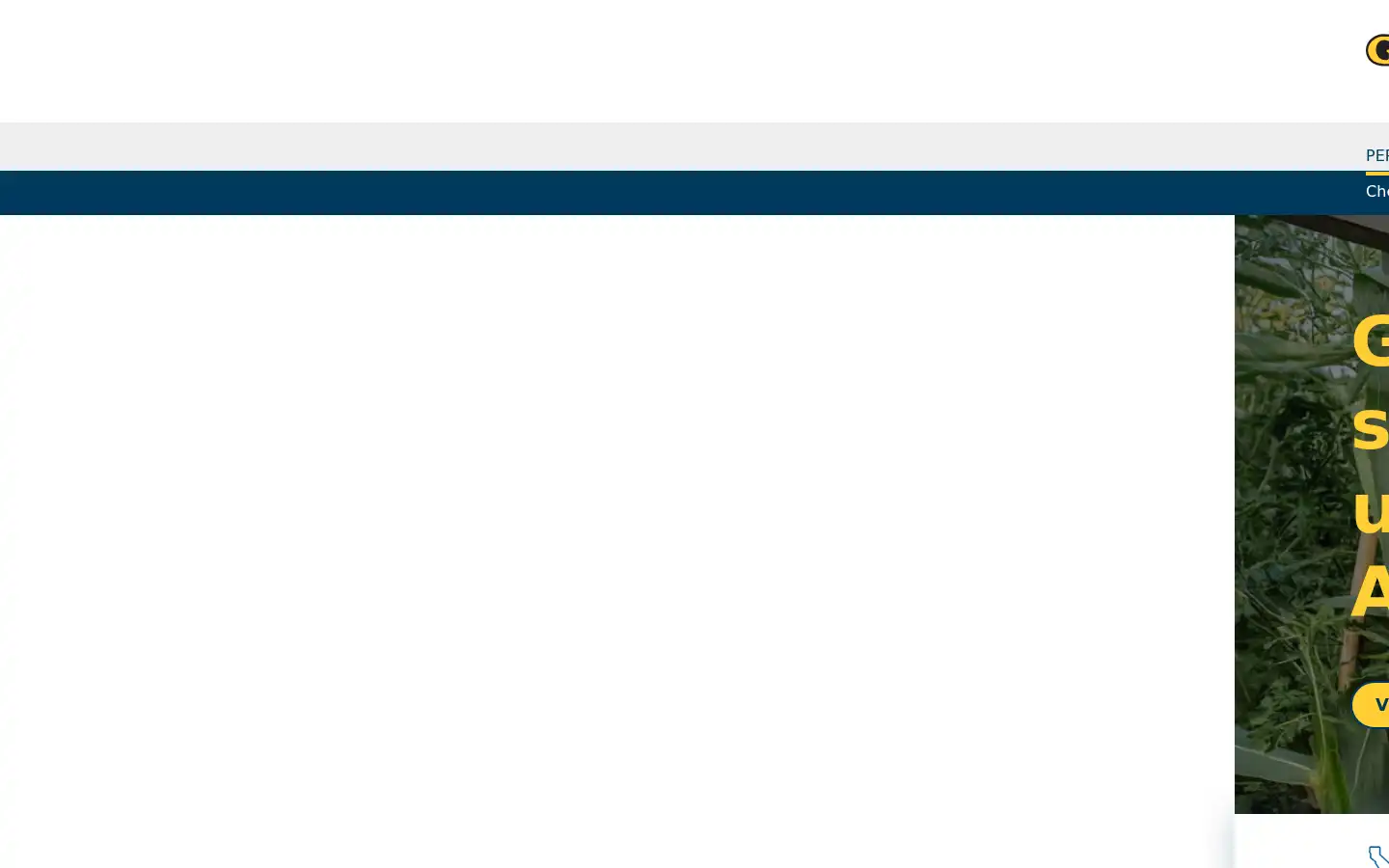 Screenshot of golden1.com