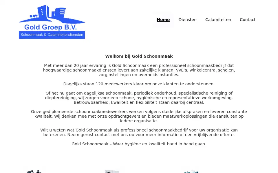Screenshot of goldschoonmaak.nl