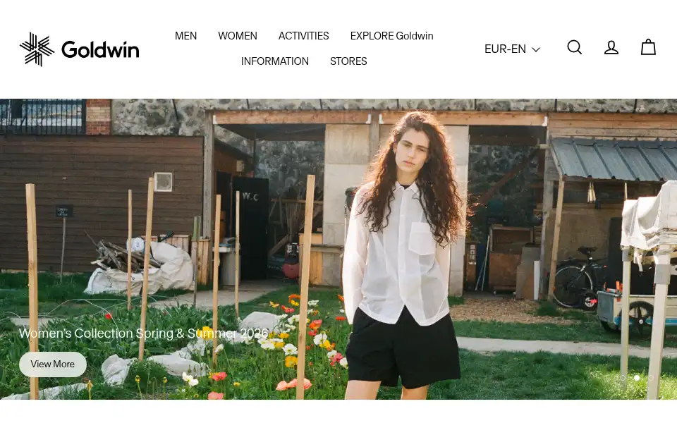 Screenshot of goldwin-global.com