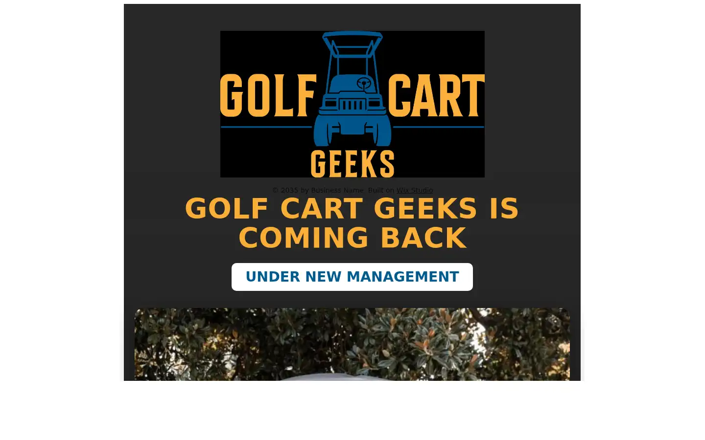 Screenshot of golfcartgeeks.com