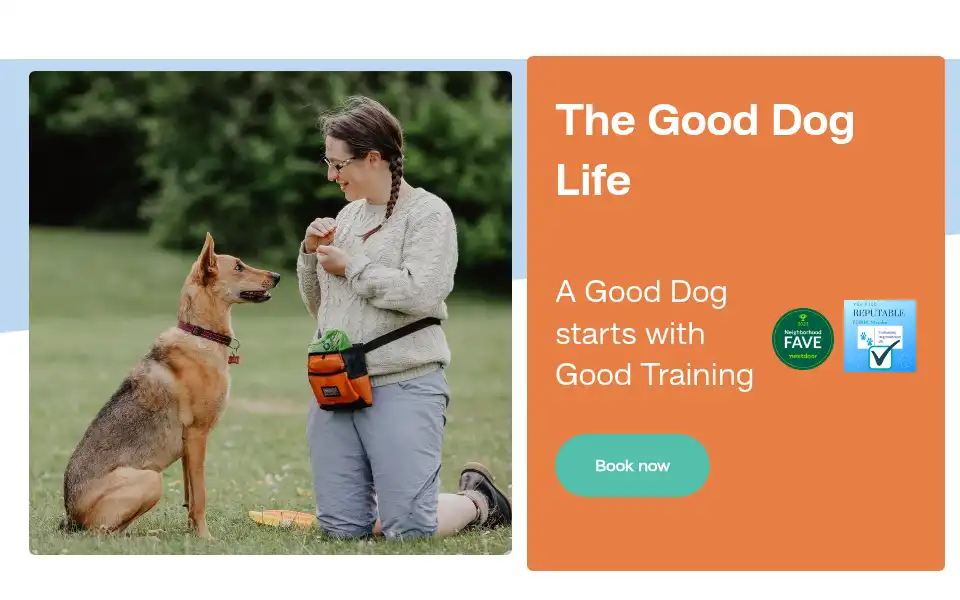 Screenshot of gooddoglife.co.uk