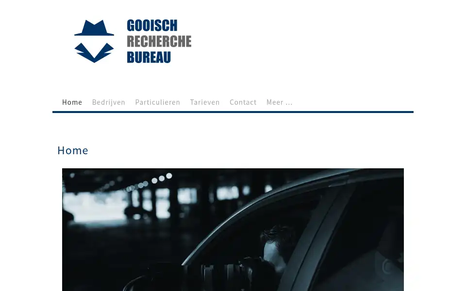 Screenshot of gooischrecherchebureau.nl