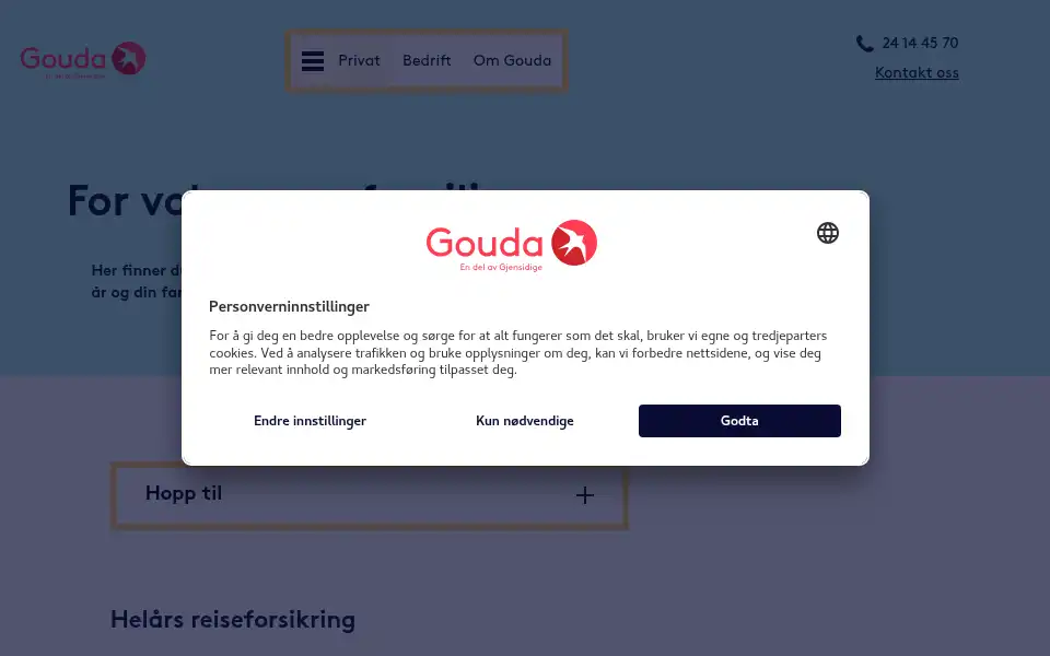 Screenshot of gouda.no