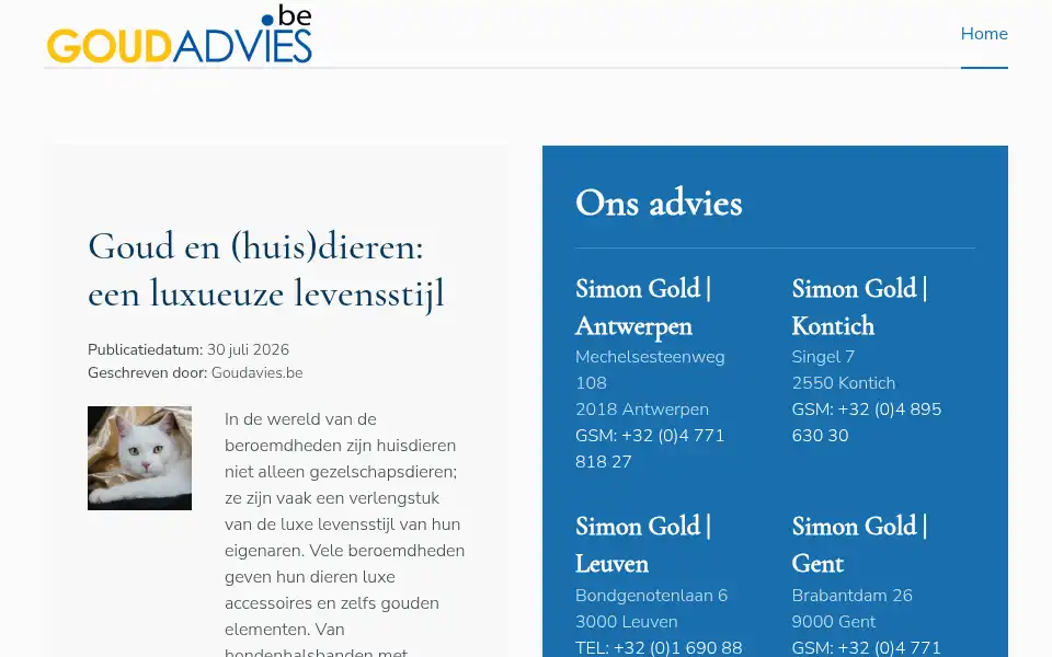 Screenshot of goudadvies.be