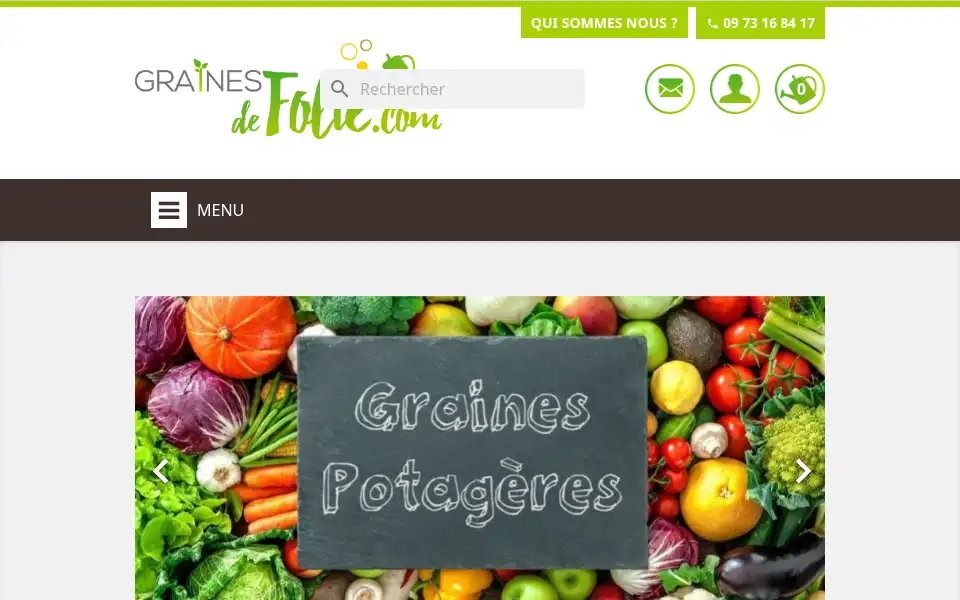 Screenshot of grainesdefolie.com