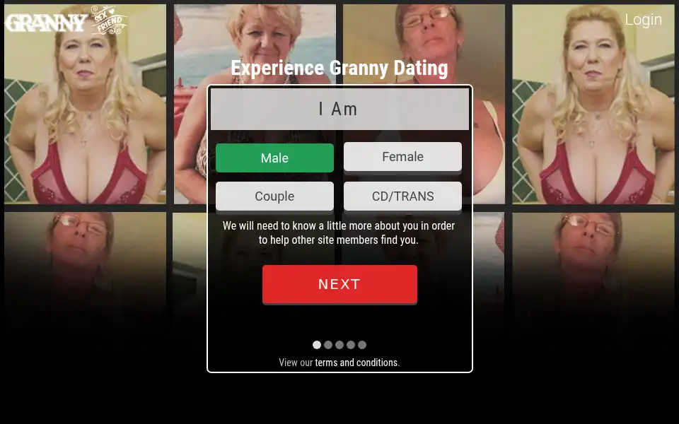 Screenshot of grannysexfriend.com