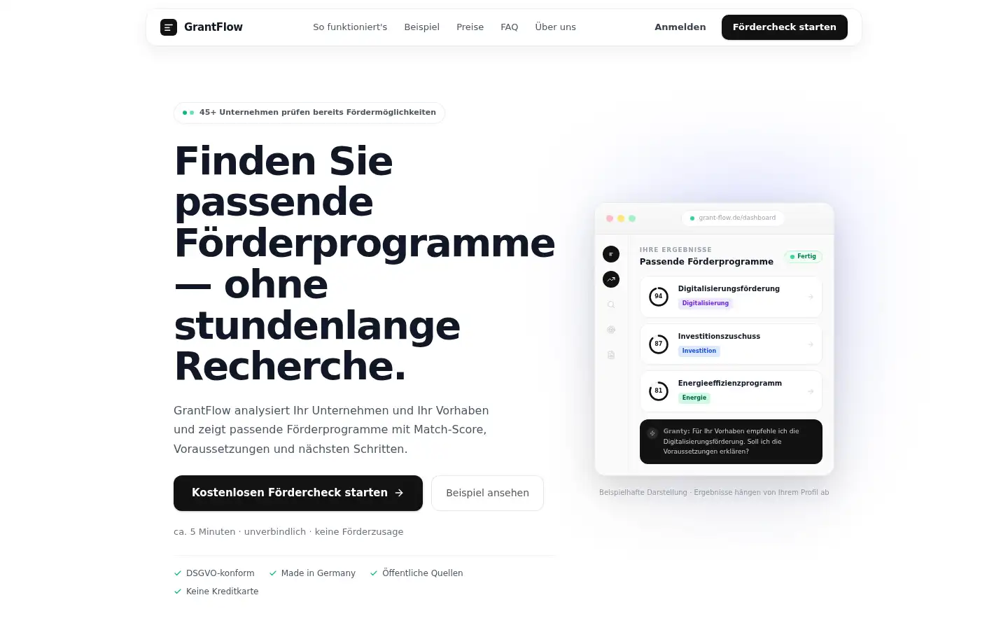 Screenshot of grant-flow.de