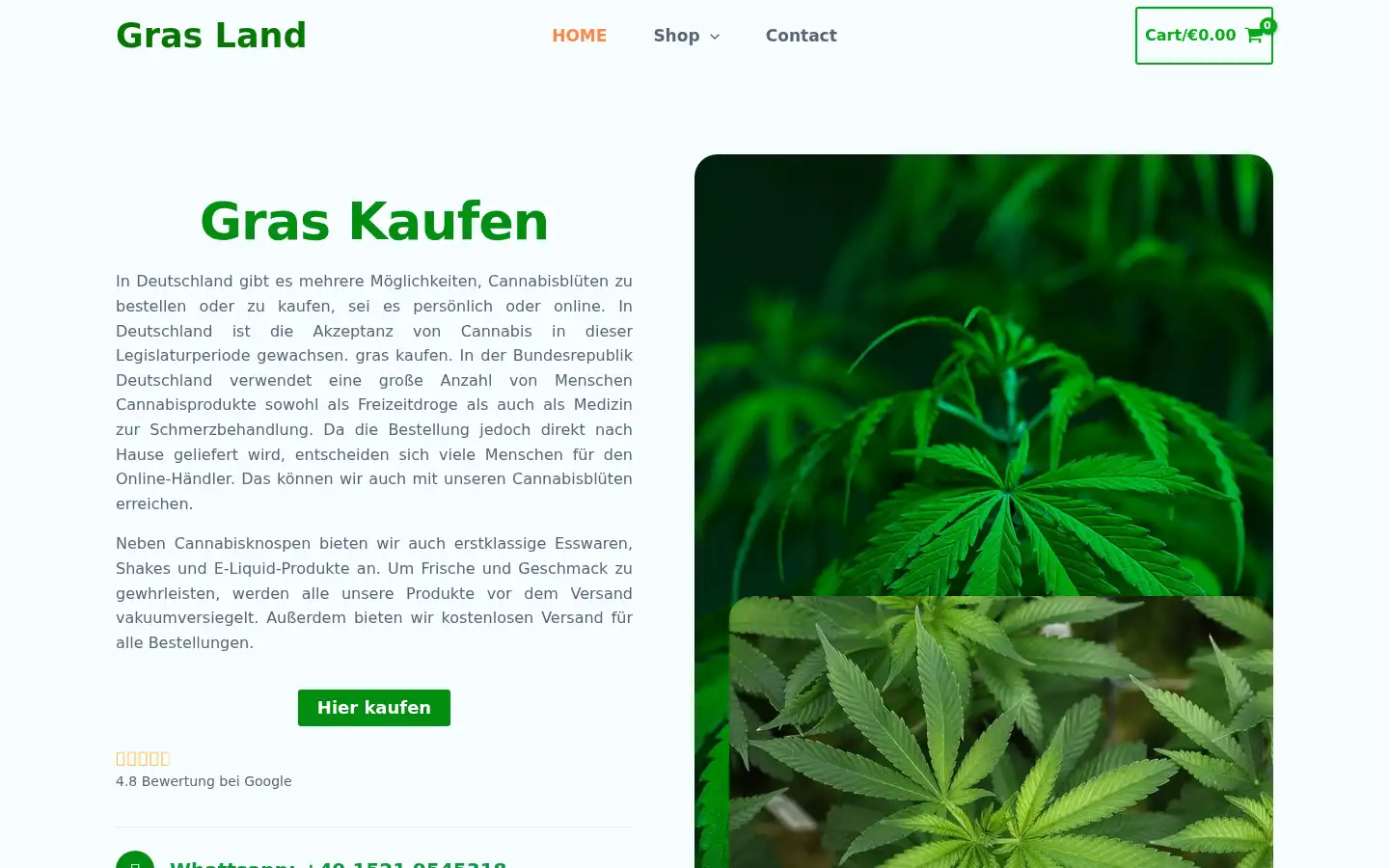 Screenshot of grashugel.com