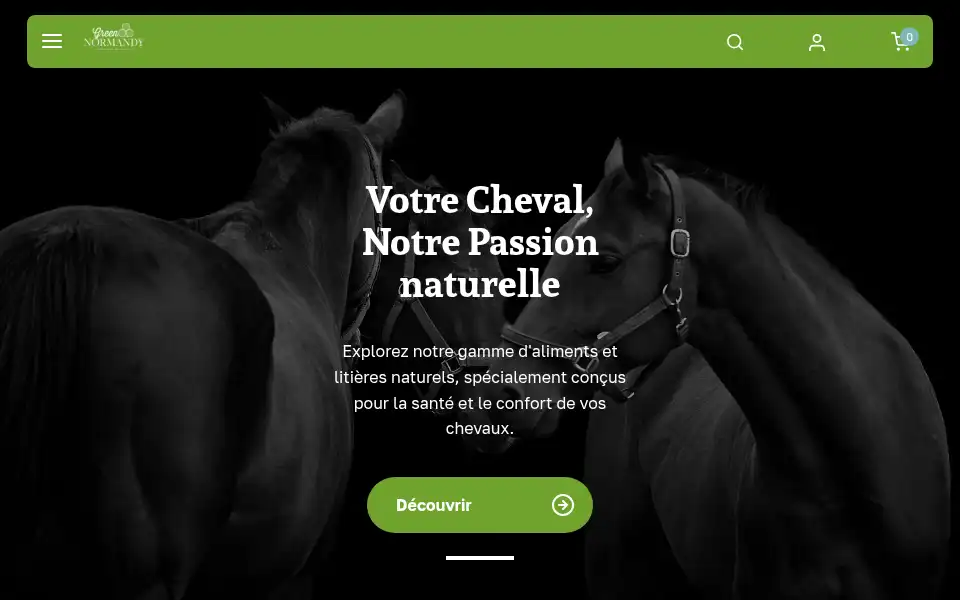 Screenshot of green-normandy.com