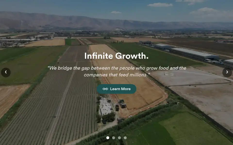 Screenshot of greenbridge.co