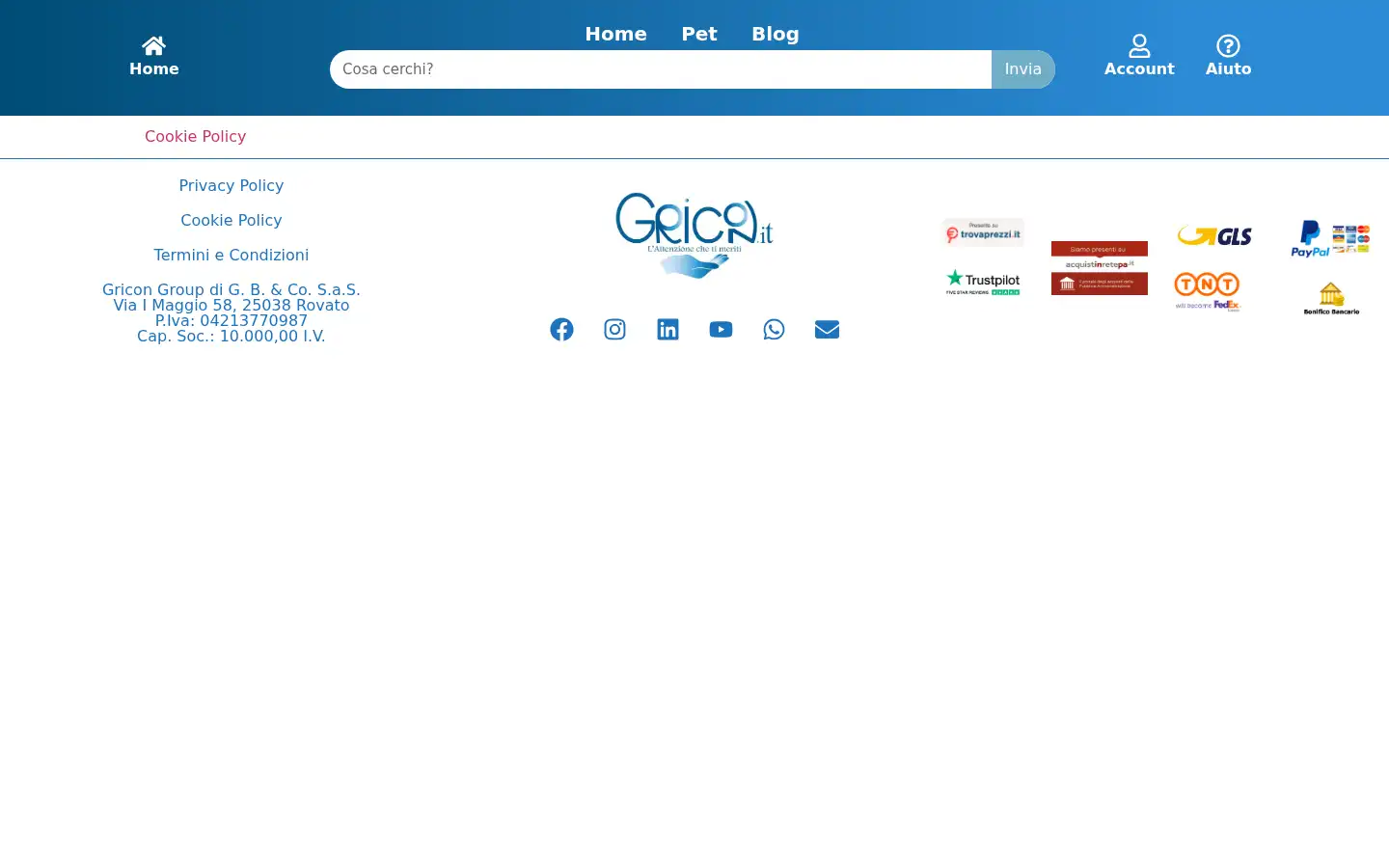 Screenshot of gricon.it