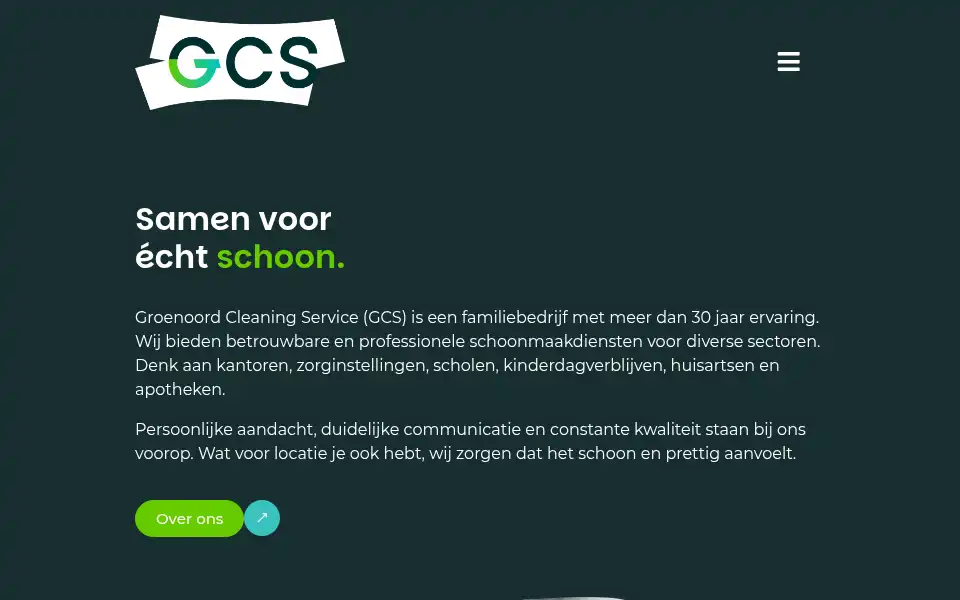 Screenshot of groenoordcleaningservice.nl