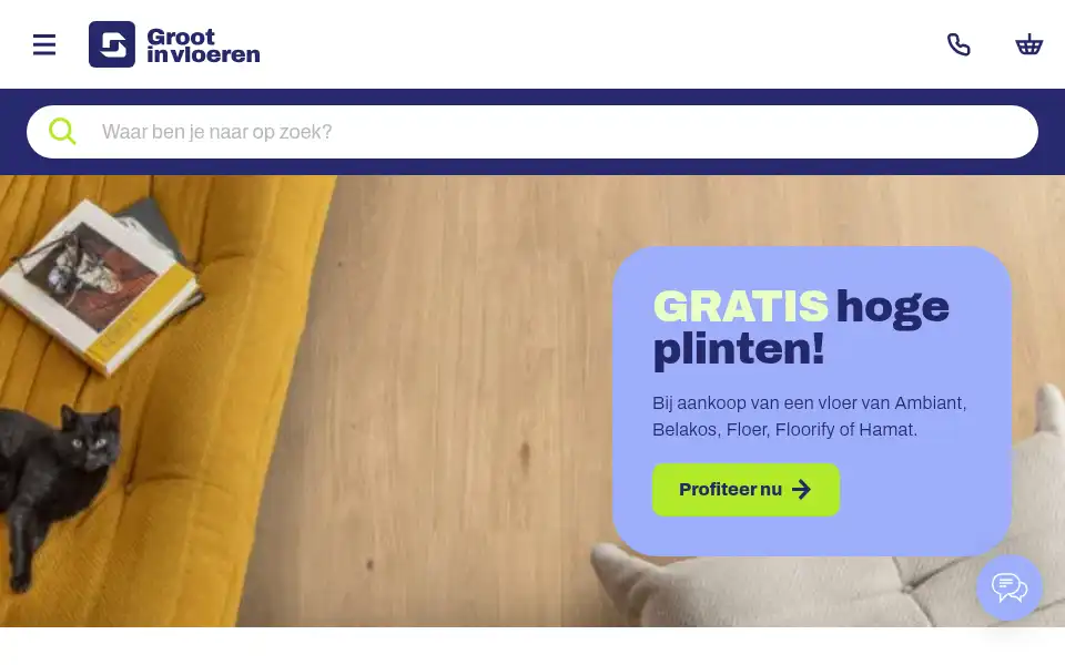 Screenshot of grootinvloeren.nl