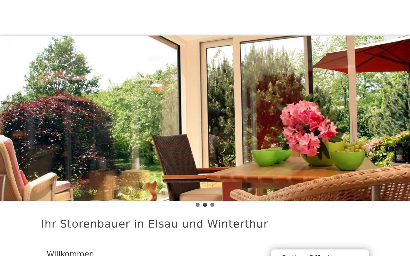 Screenshot of gssw.ch