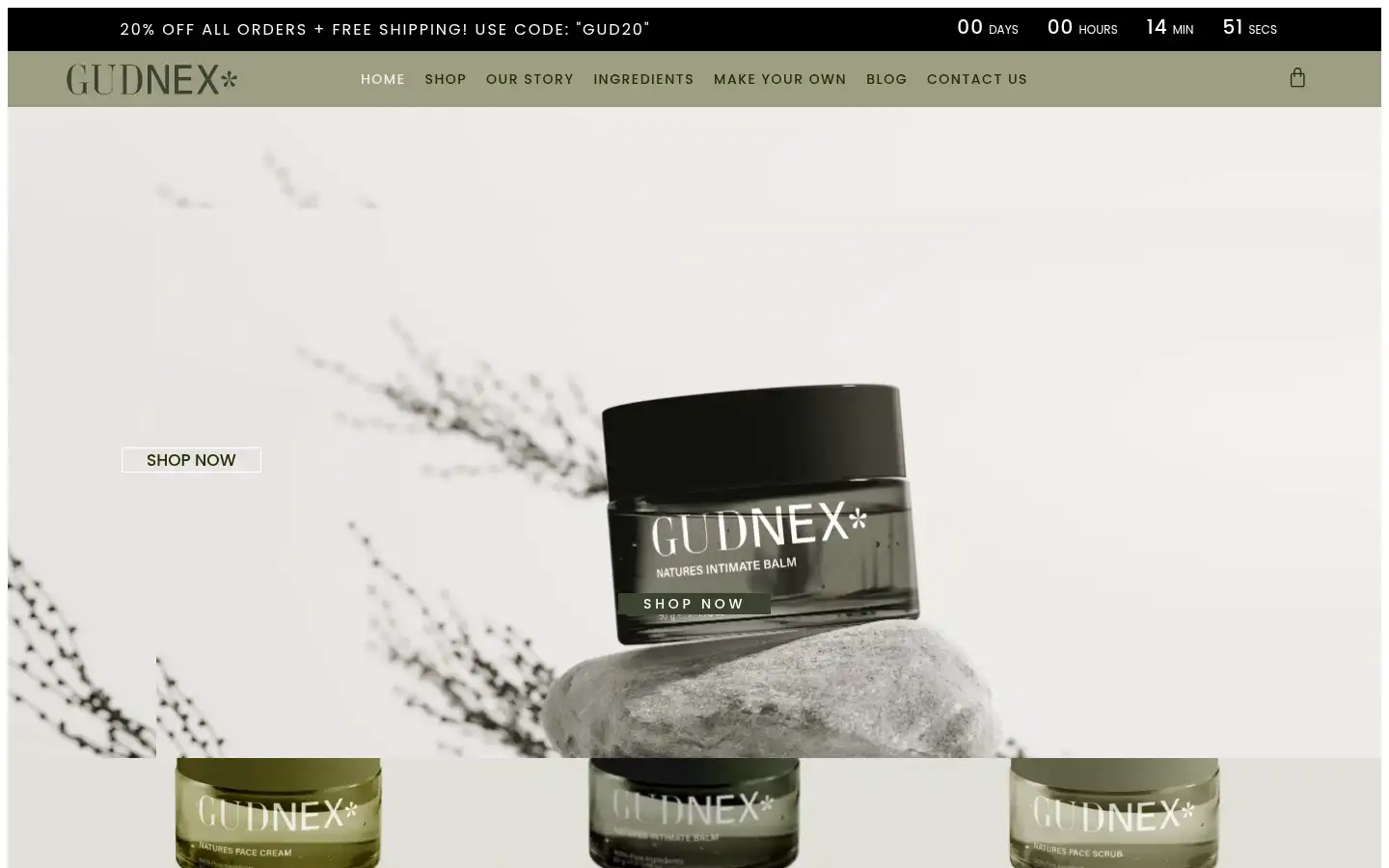 Screenshot of gudnex.com