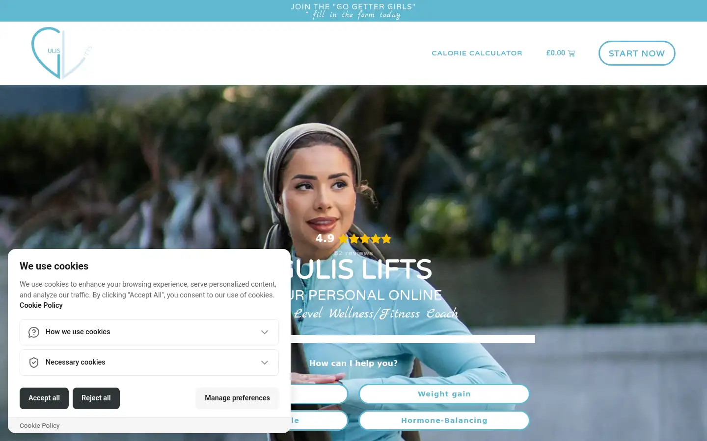 Screenshot of gulislifts.com