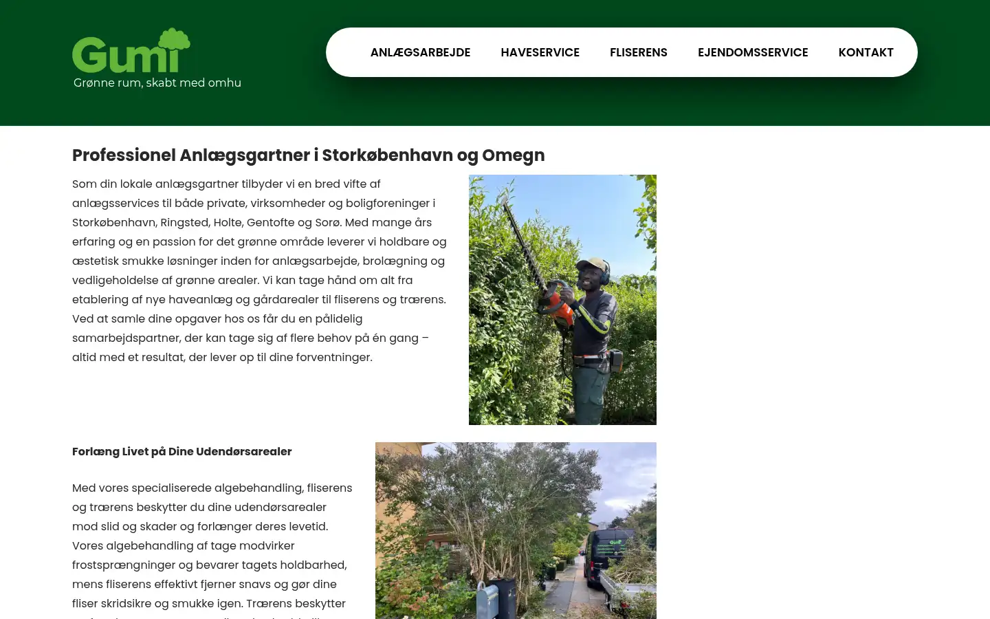 Screenshot of gumi.dk