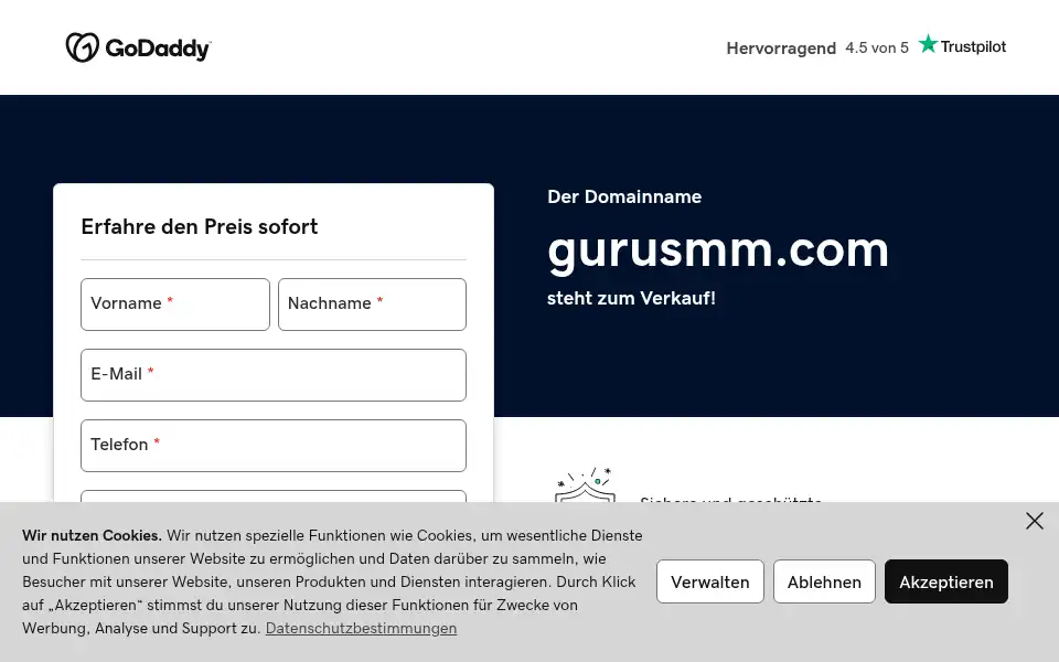 Screenshot of gurusmm.com