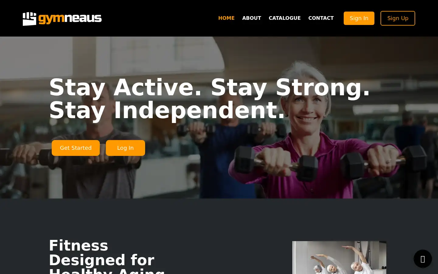 Screenshot of gymneaus.com
