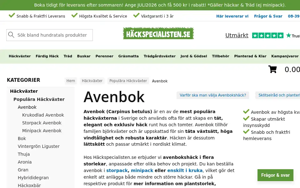 Screenshot of hackspecialisten.se