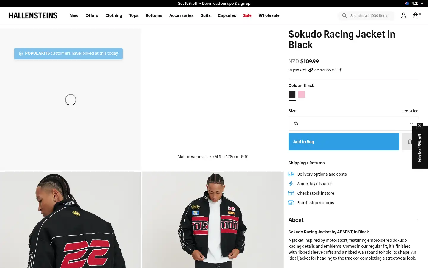 Screenshot of hallensteins.com