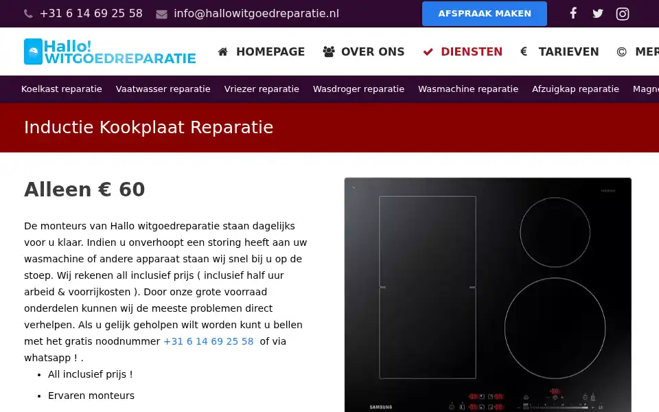 Screenshot of hallowitgoedreparatie.nl
