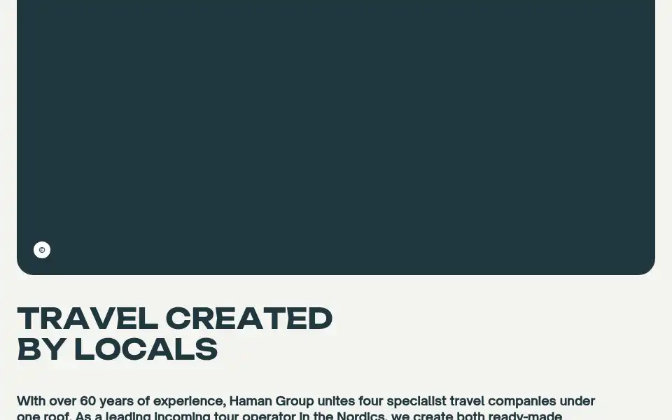 Screenshot of hamangroup.com