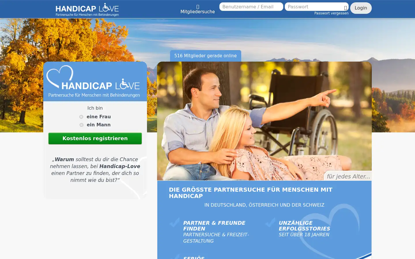 Screenshot of handicap-love.de