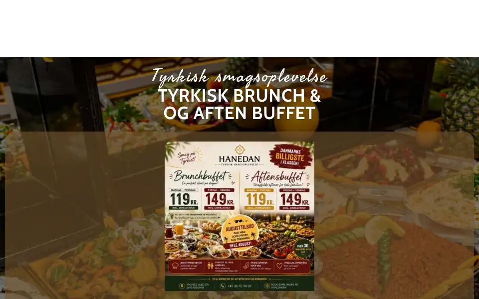 Screenshot of hanedan.dk