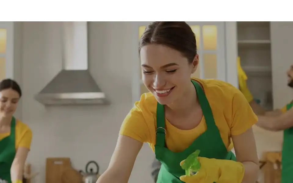 Screenshot of hanoracleaning.co.uk