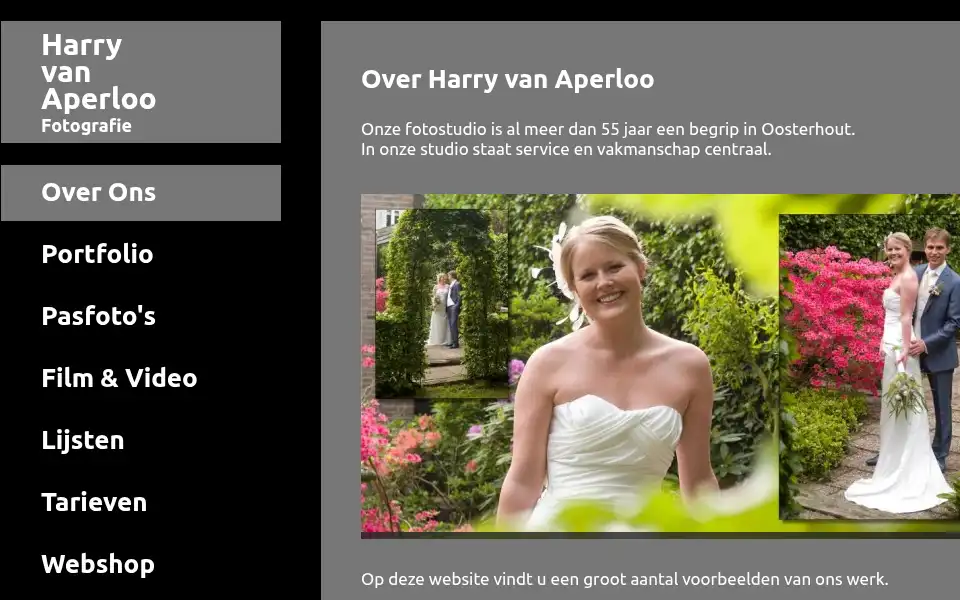 Screenshot of harryvanaperloo.nl