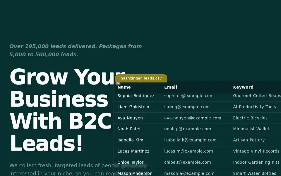 Screenshot of hashzinger.com