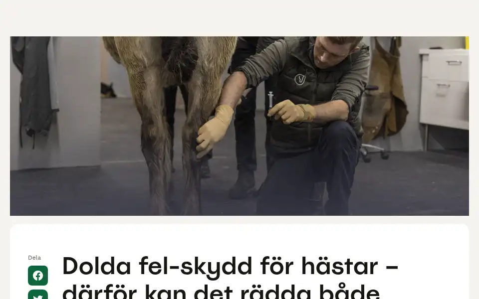 Screenshot of hastnet.se