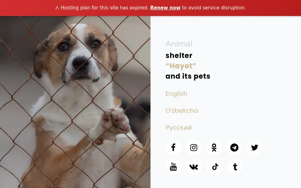 Screenshot of hayotislife.com