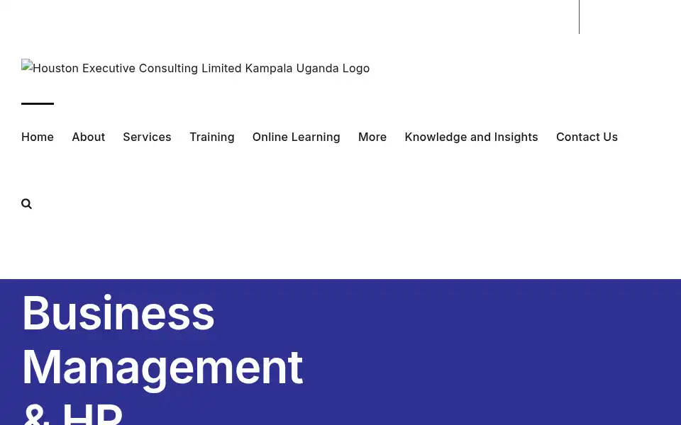 Screenshot of heconsulting.us
