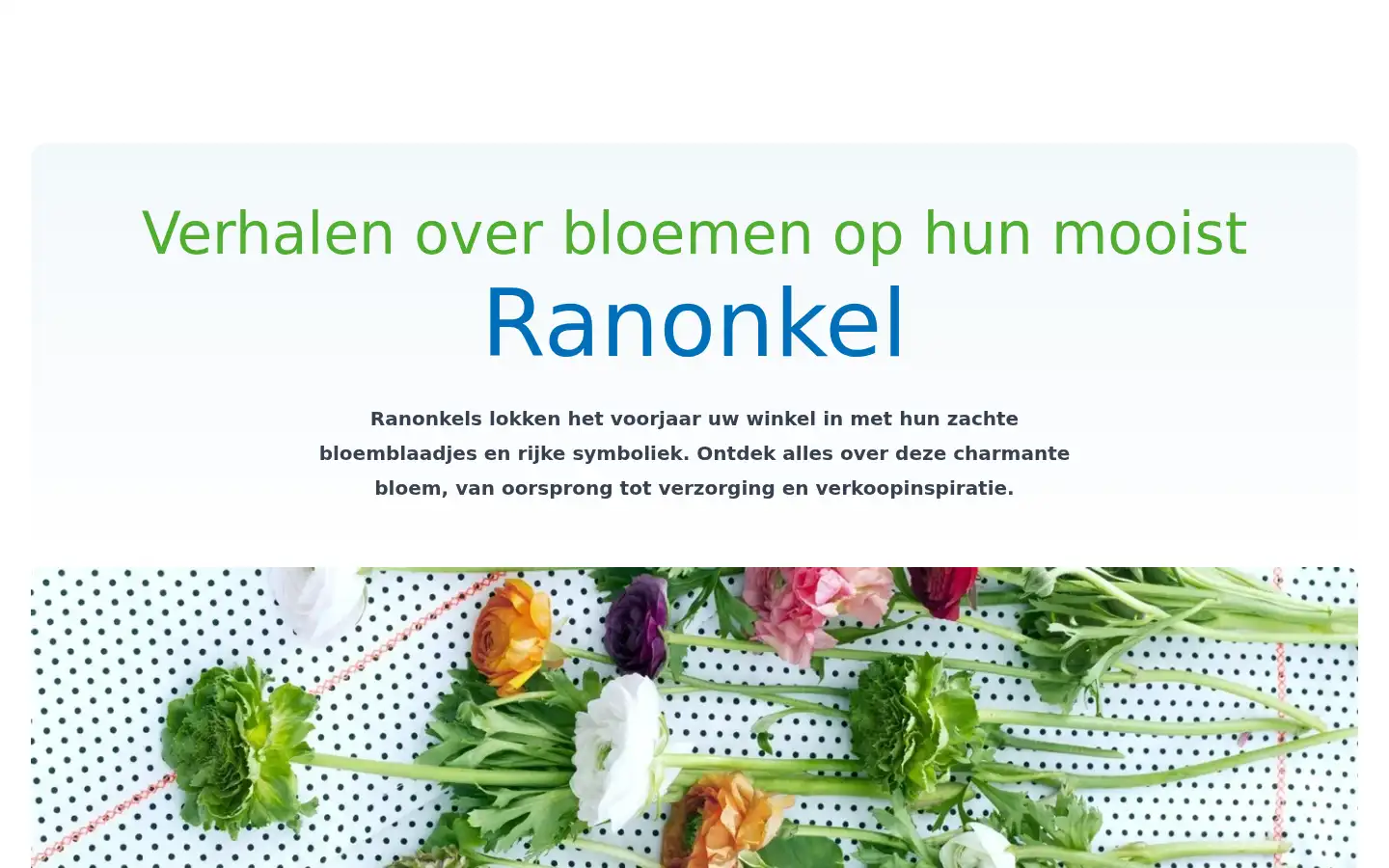 Screenshot of heemskerkflowers.com