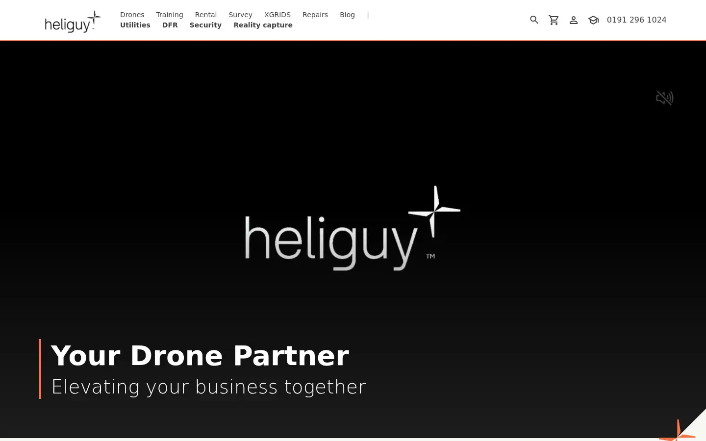 Screenshot of heliguy.com