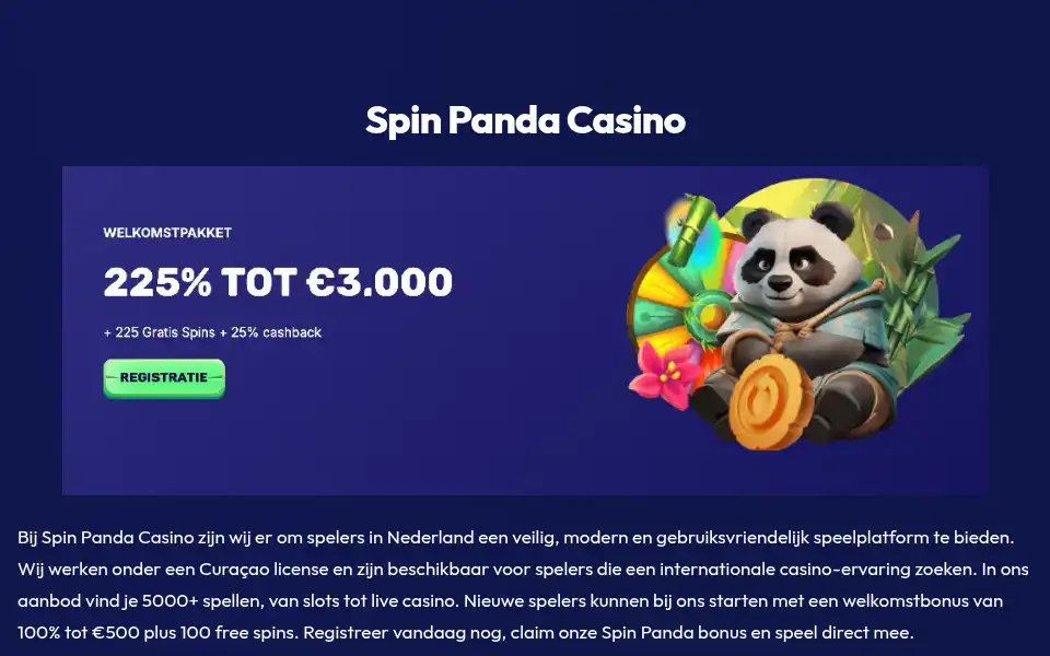 Screenshot of heysey.nl