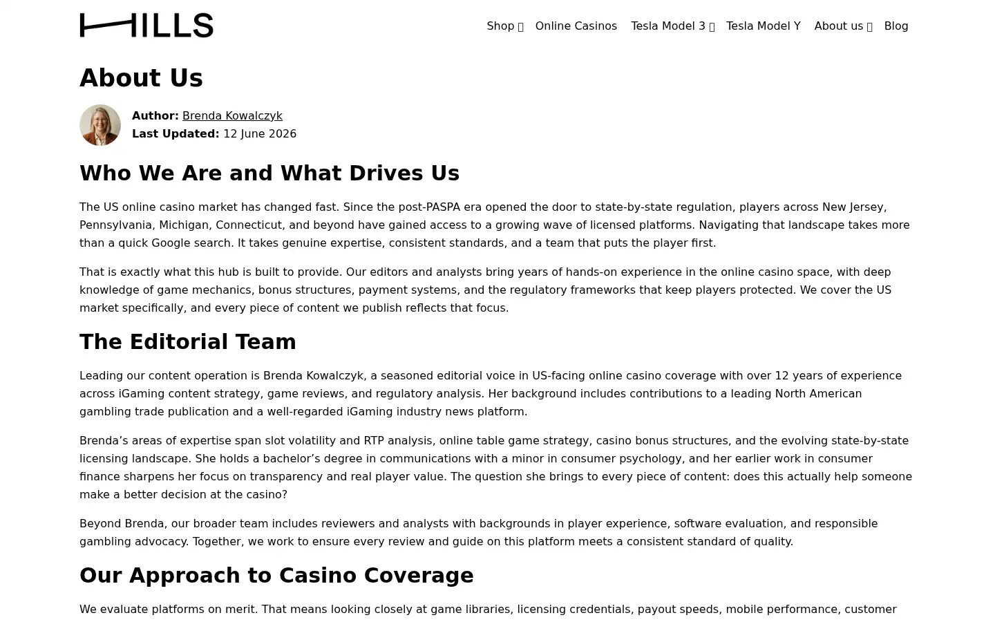 Screenshot of hillsmade.com