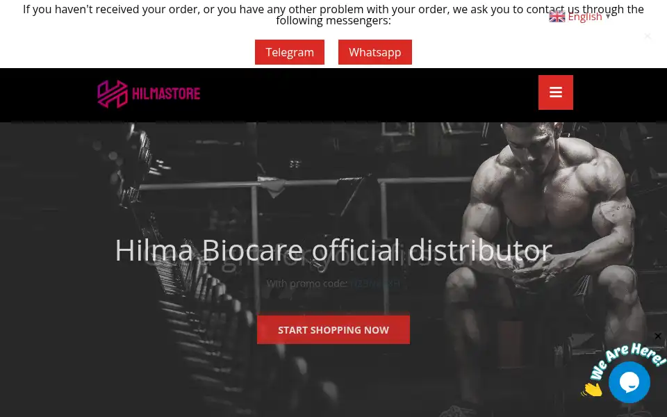 Screenshot of hilmastore.com
