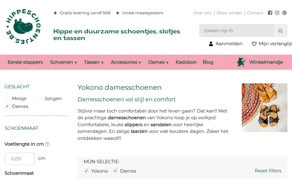 Screenshot of hippeschoentjes.be