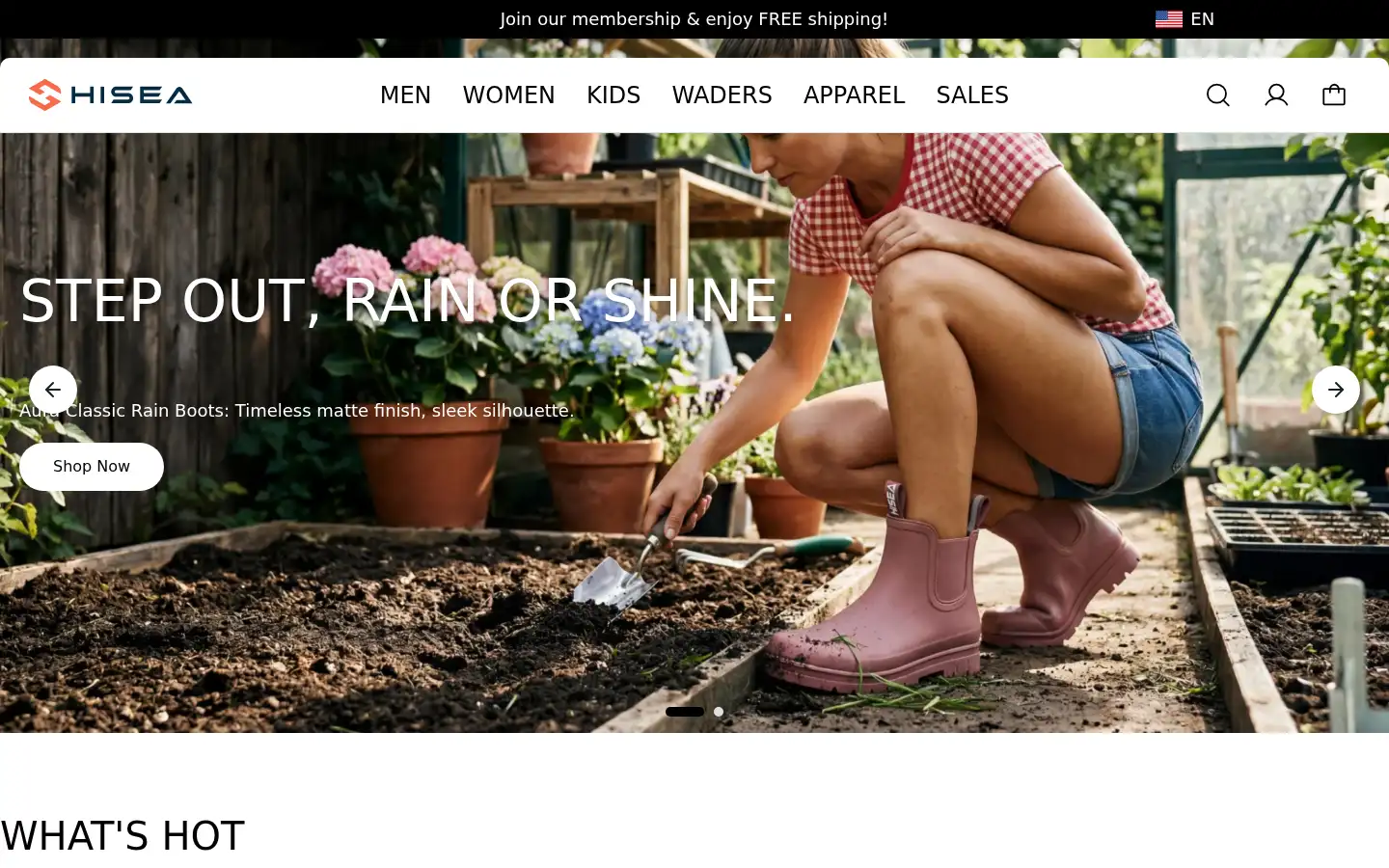 Screenshot of hisea.com