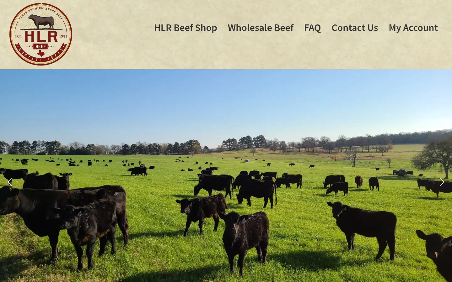 Screenshot of hlrbeef.com