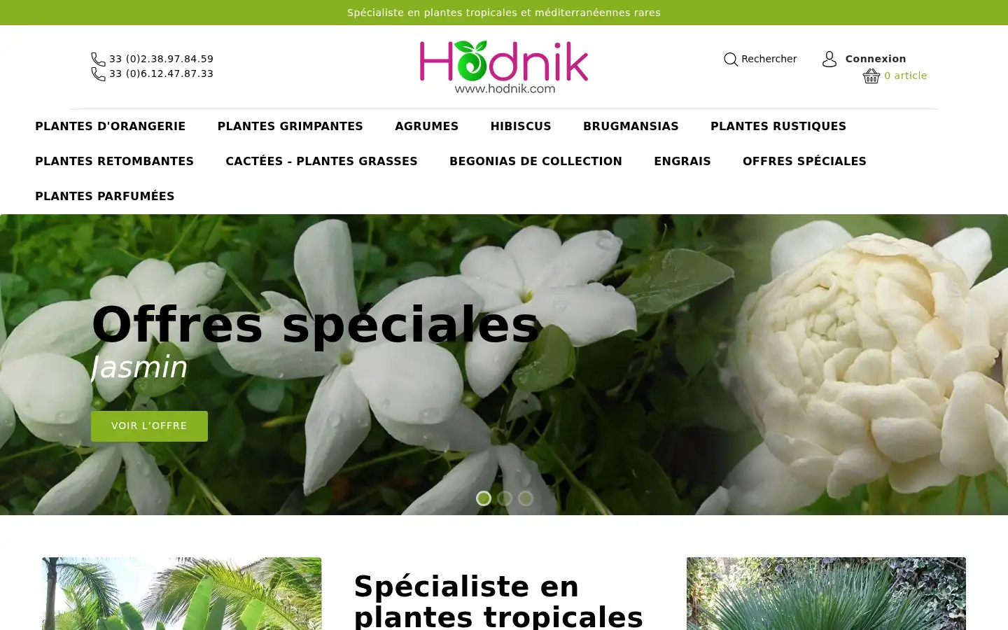 Screenshot of hodnik.com